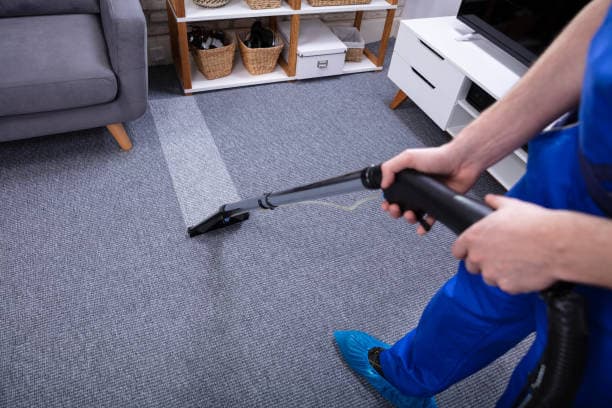 Driway Carpet Cleaning – Where Clean Meets Healthy