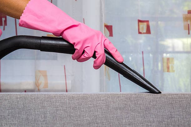 <h2>Our Story: Dedicated to Cleaner, Healthier Spaces</h2>
<p>Welcome to <strong>Driway Carpet Clean... <h2>Our Story: Dedicated to Cleaner, Healthier Spaces</h2>
<p>Welcome to <strong>Driway Carpet Clean...